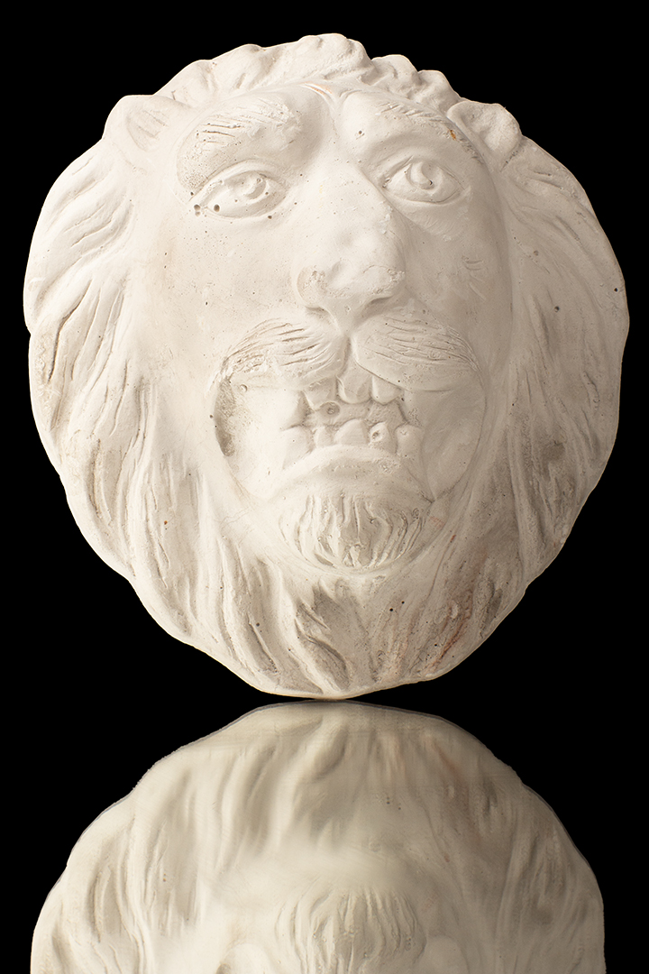 CABEZA DE LEÓN