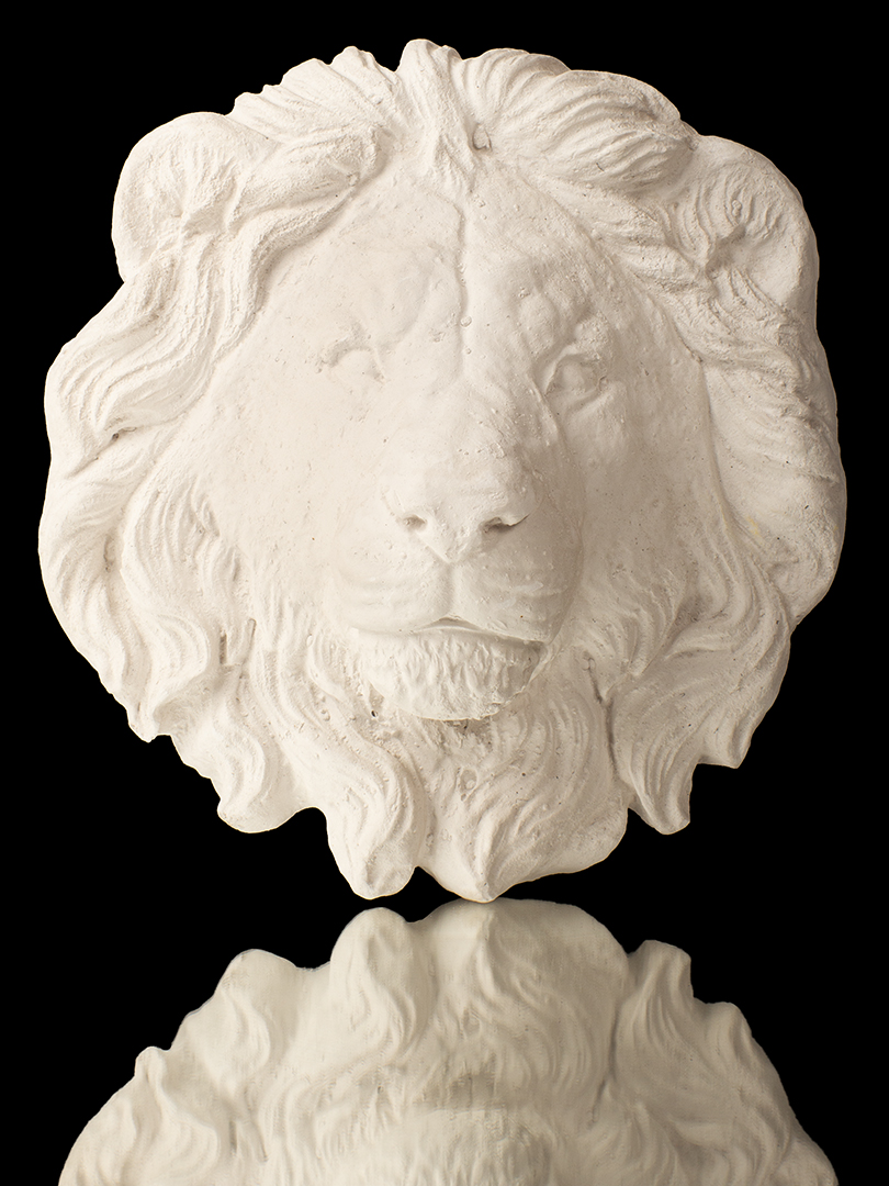 CABEZA DE LEÓN