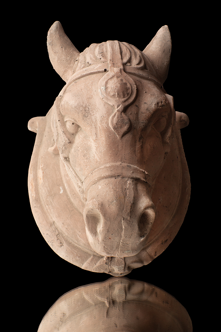 CABEZA DE CABALLO