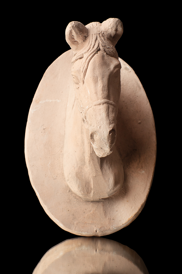 CABEZA DE CABALLO