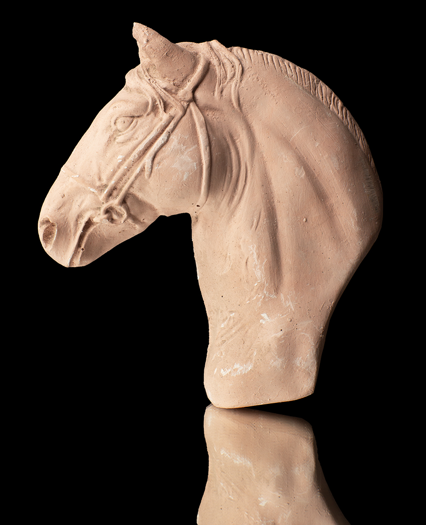 CABEZA DE CABALLO
