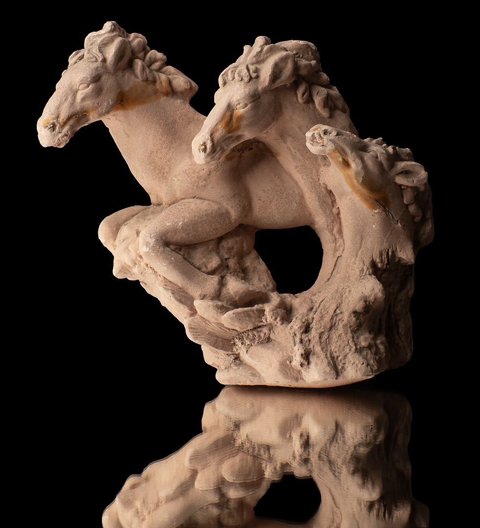 CABALLOS