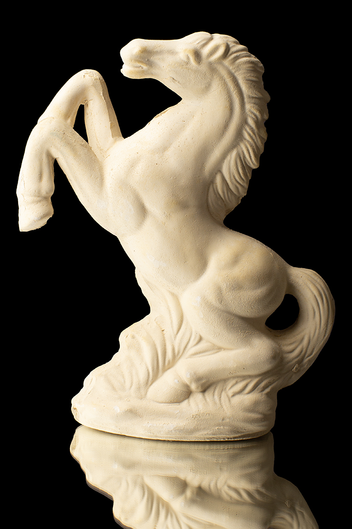 CABALLO DE PIE