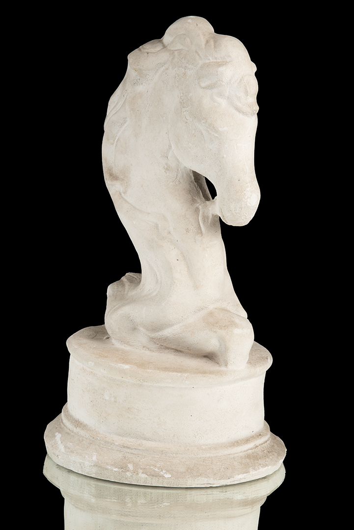 CABEZA DE CABALLO