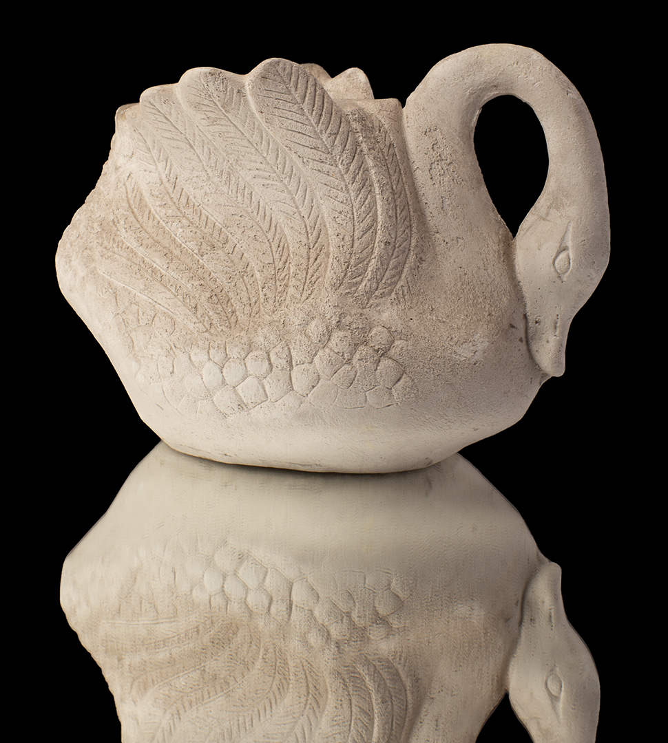 CISNE