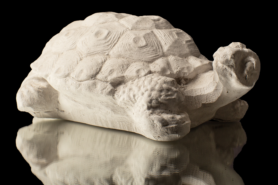 TORTUGA