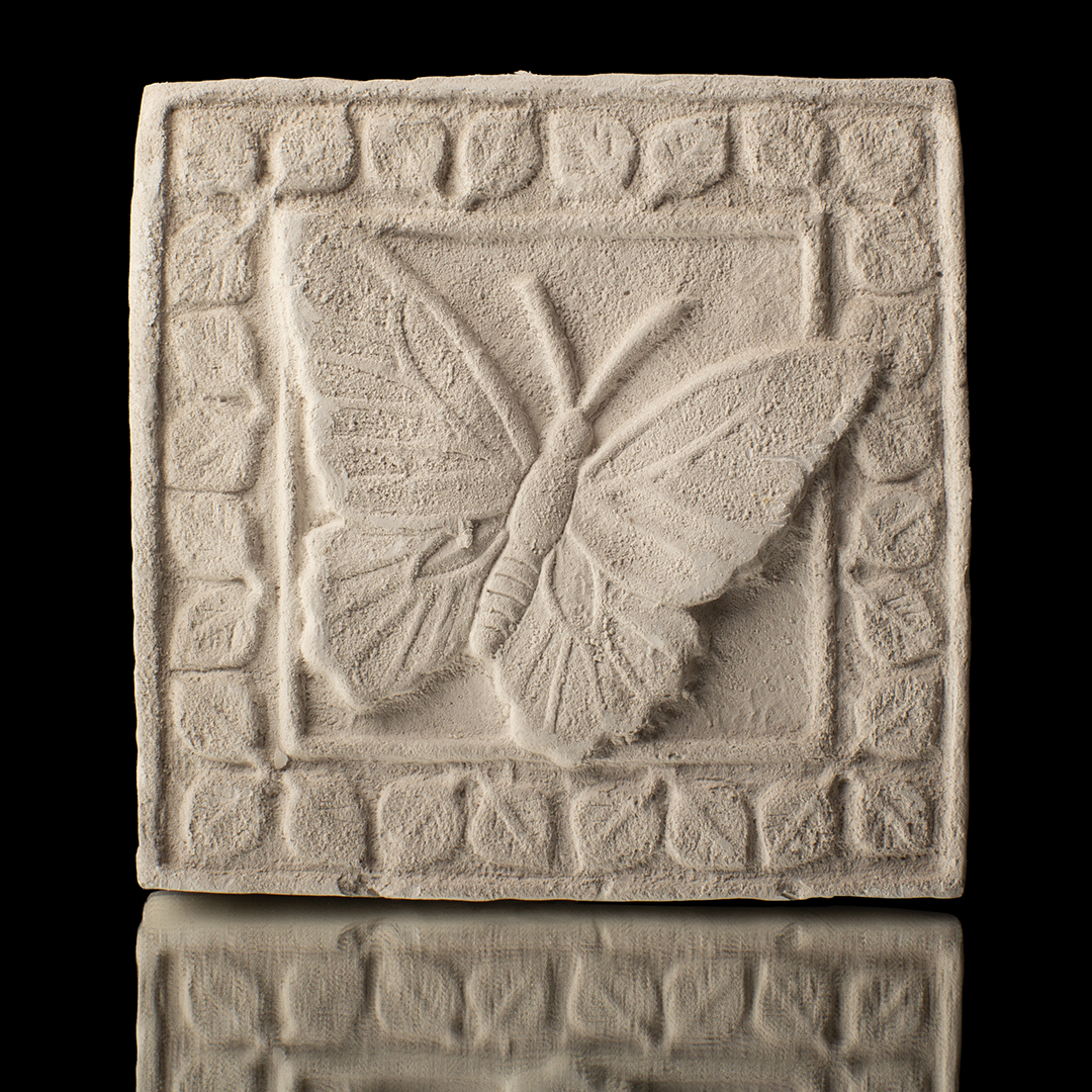 CUADRO DE MARIPOSA