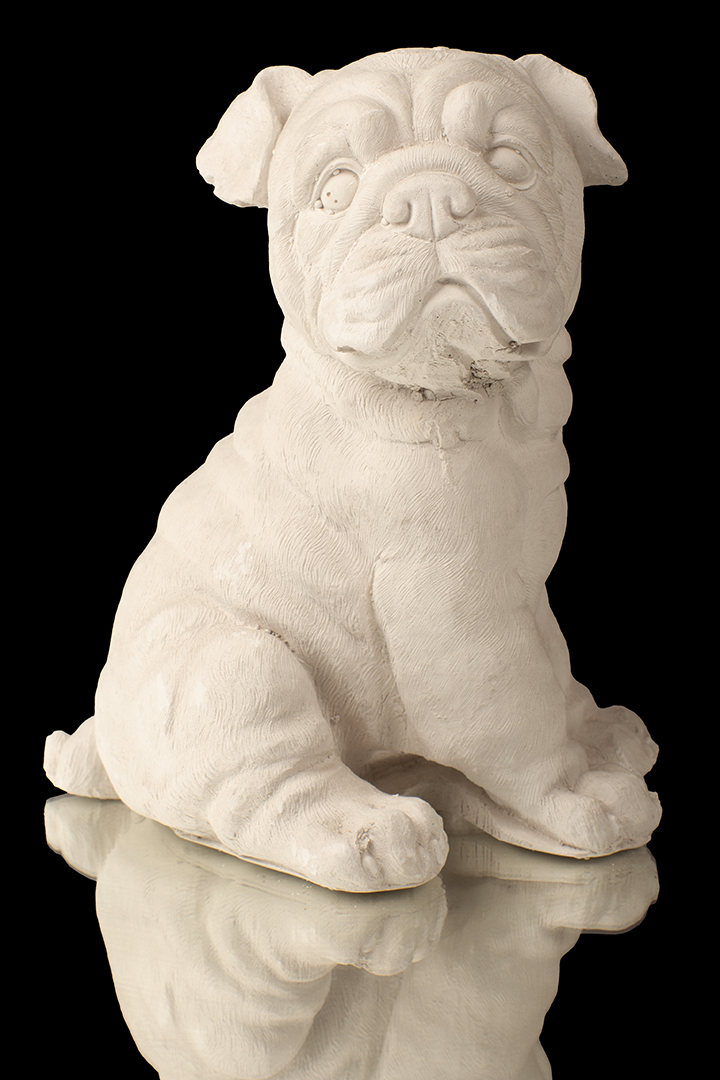 PERRITO