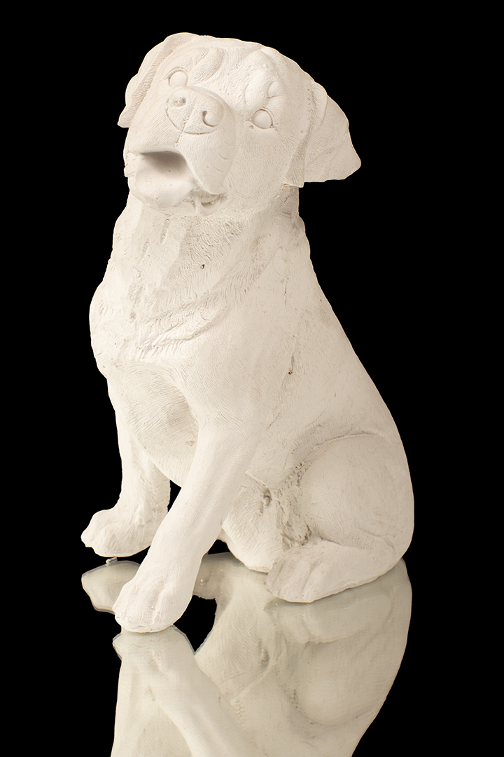 PERRITO DE CASA