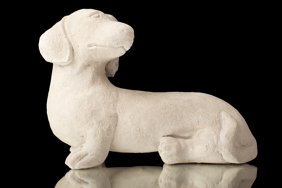 PERRO SALCHICHA