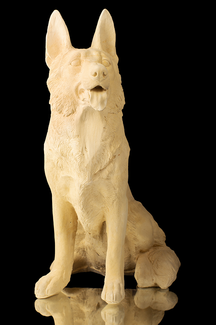 PERRITO EN CUATRO PATAS