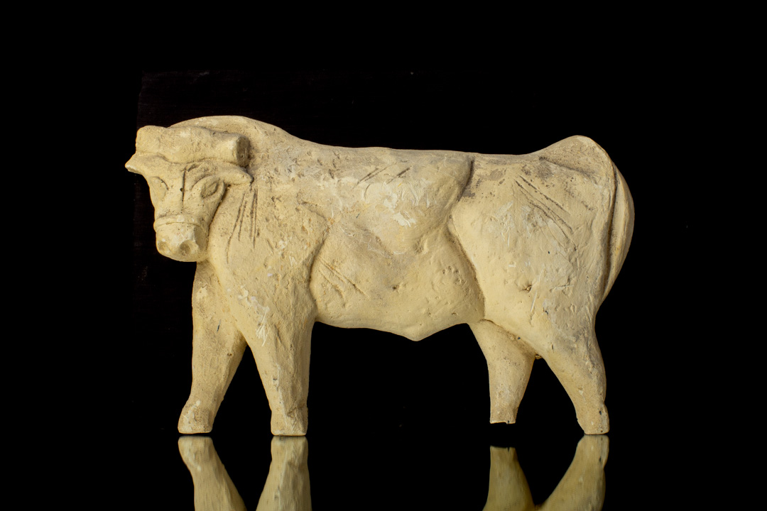 VACA