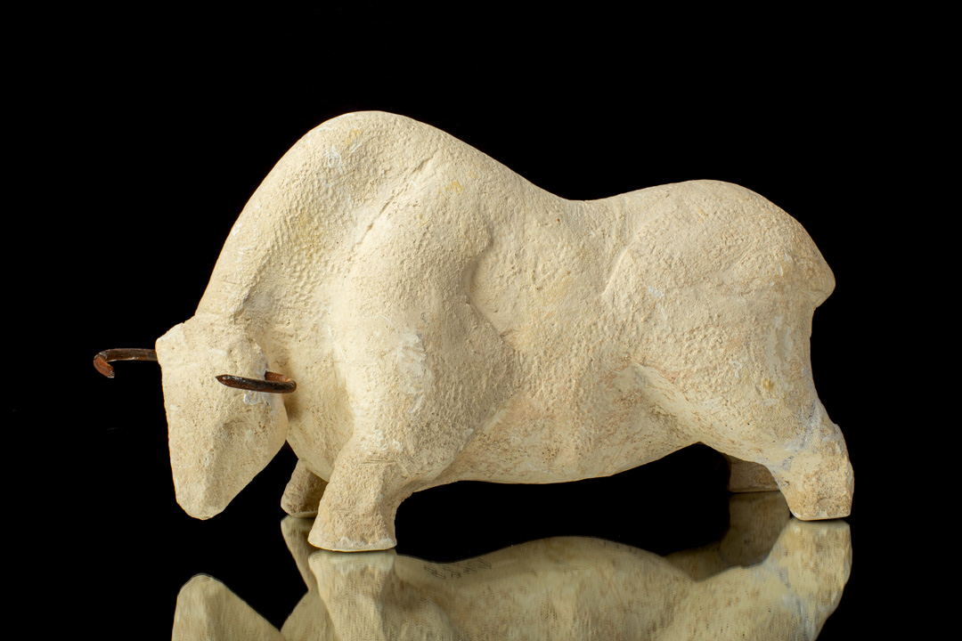 TORO