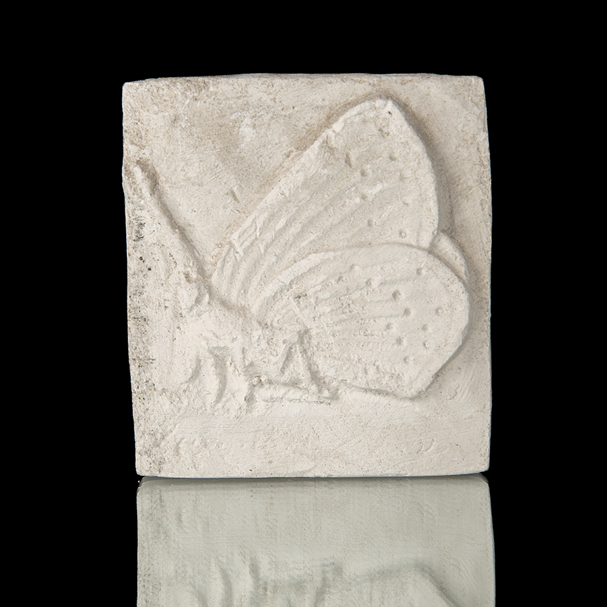 CUADRO DE MARIPOSA