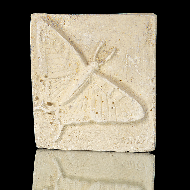 CUADRO DE MARIPOSA