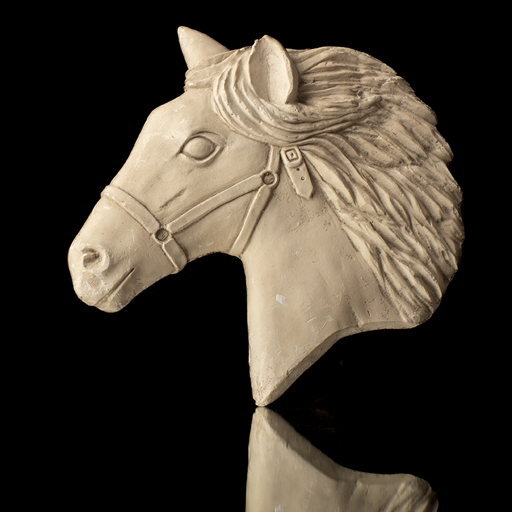 CABEZA DE CABALLO
