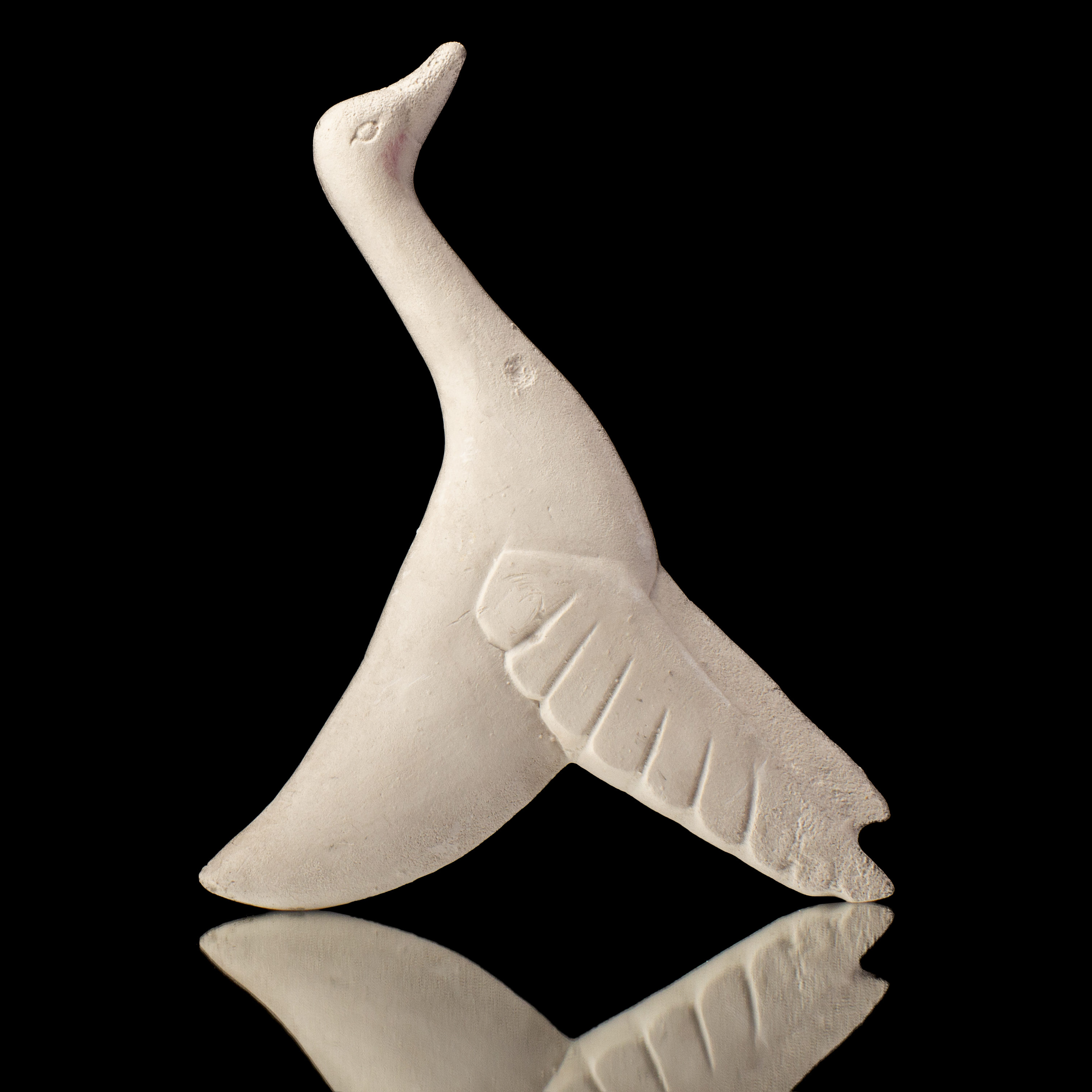 PÁJARO