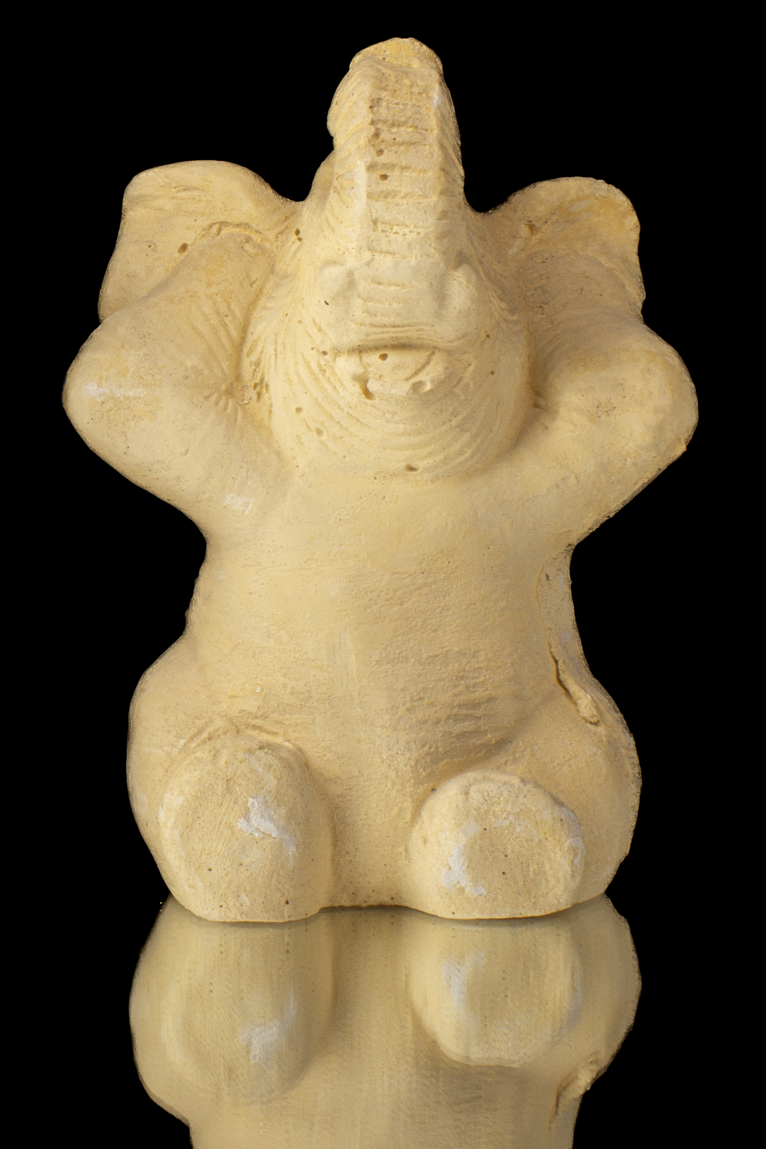 ELEFANTE TAPANDO SUS OREJAS