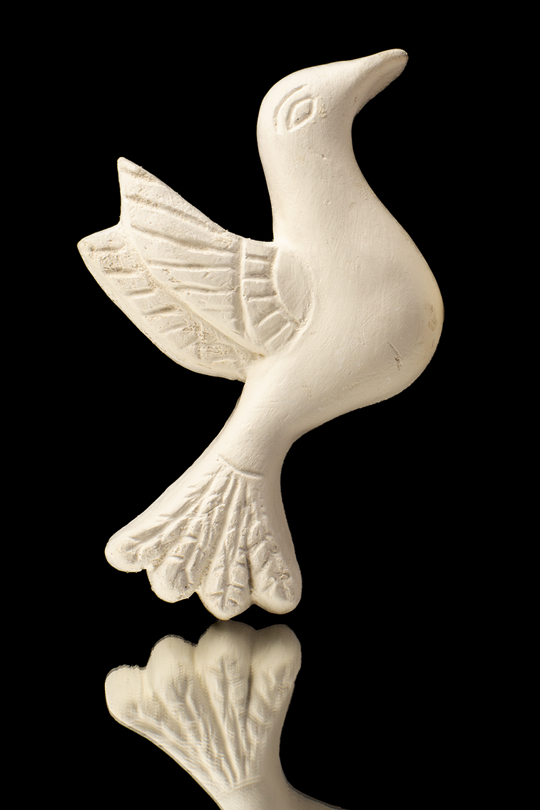 PÁJARO