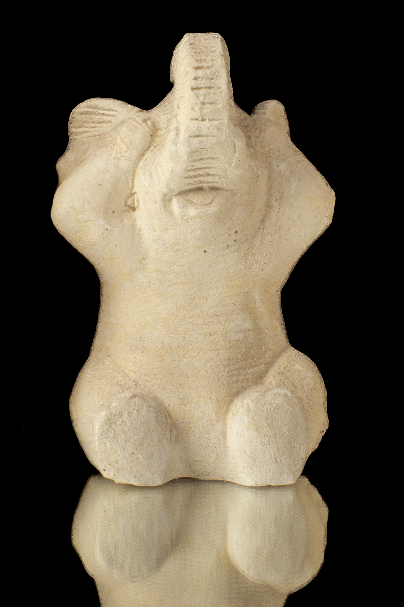 ELEFANTE CON OJOS TAPADOS