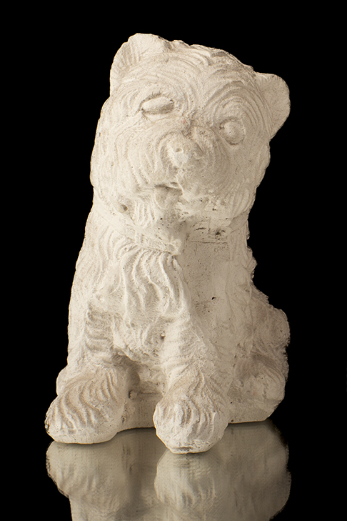 PERRITO