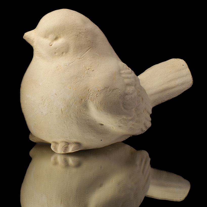 PÁJARO