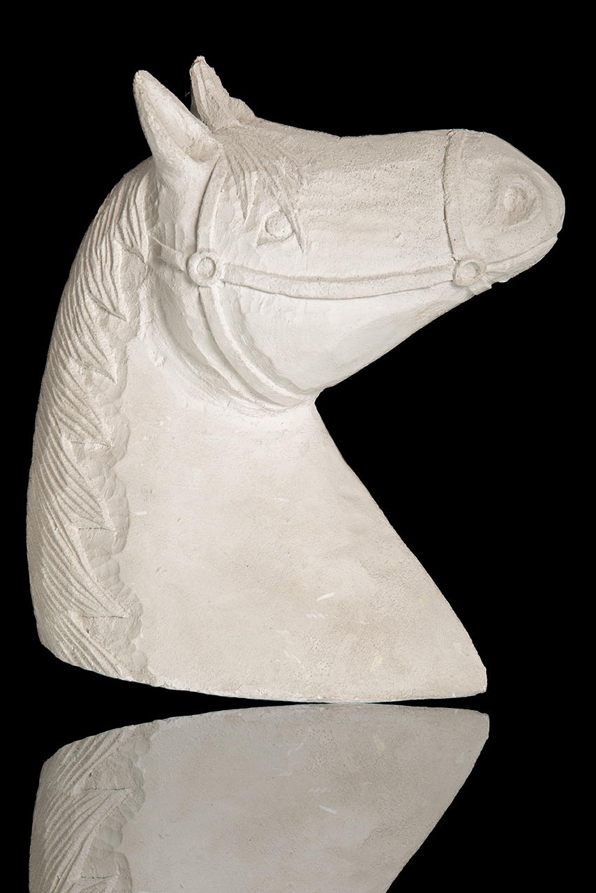 CABEZA DE CABALLO