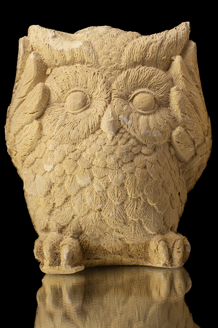 BÚHO