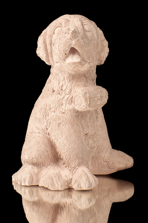 PERRITO
