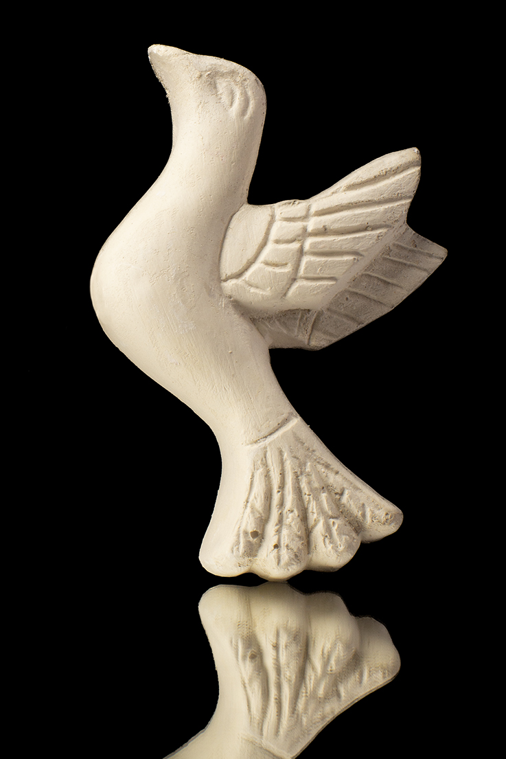 PÁJARO
