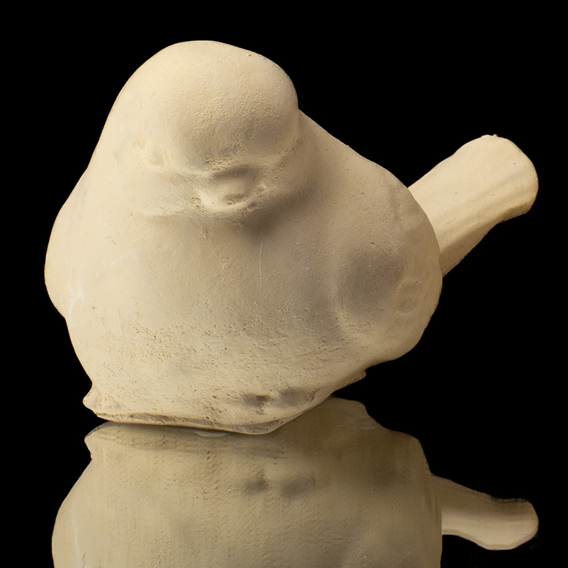POLLO