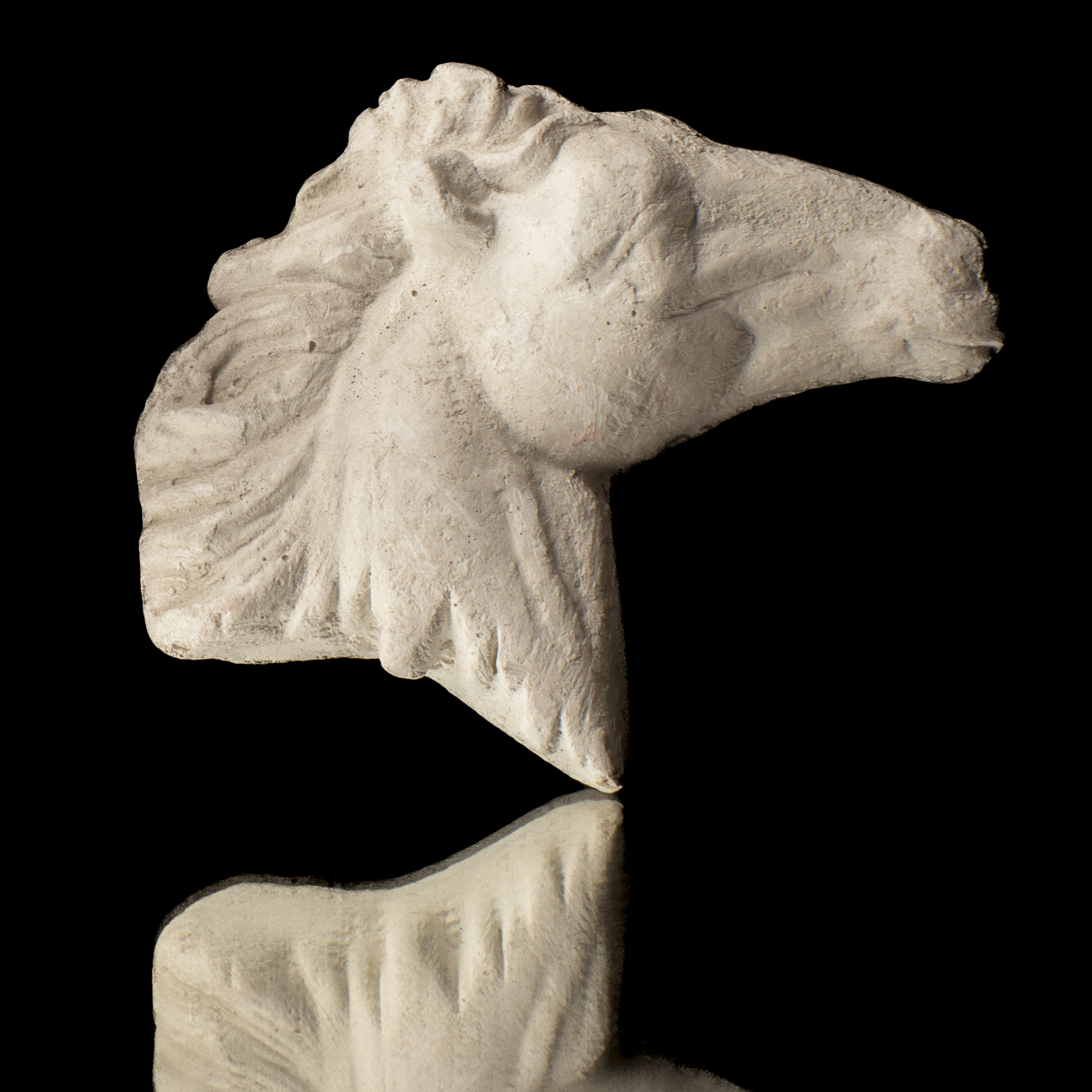 CABEZA DE CABALLO