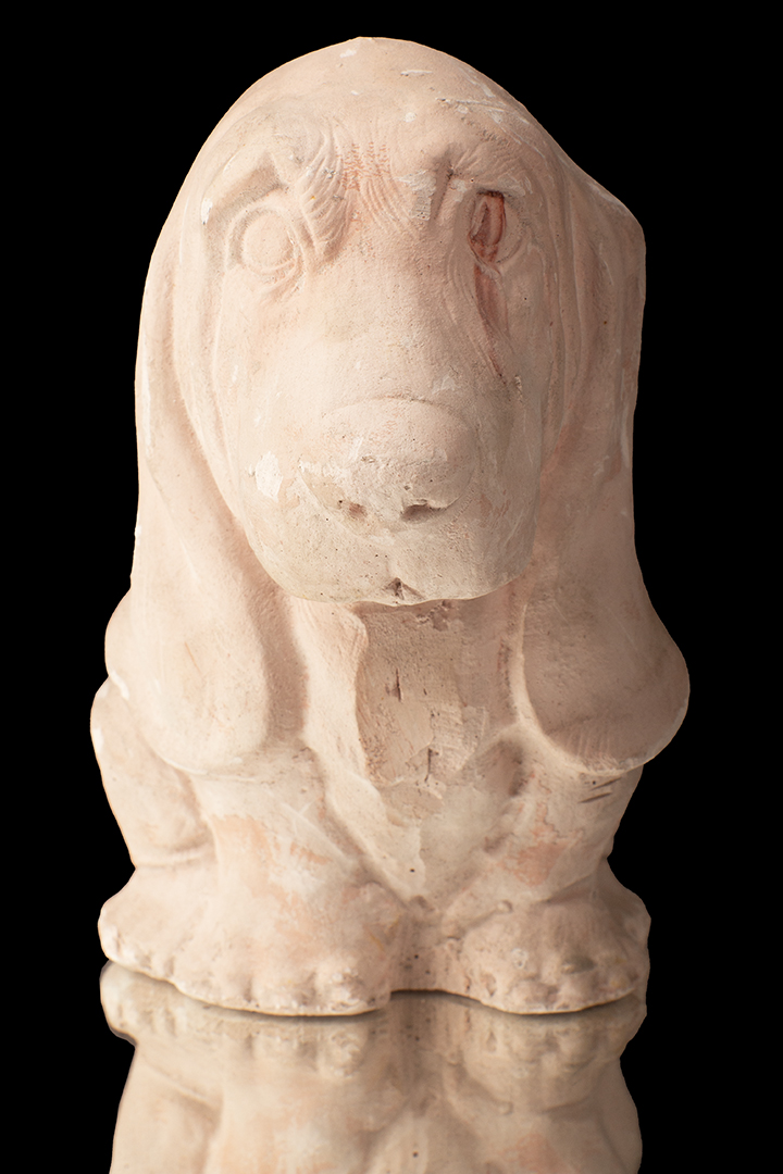 PERRITO