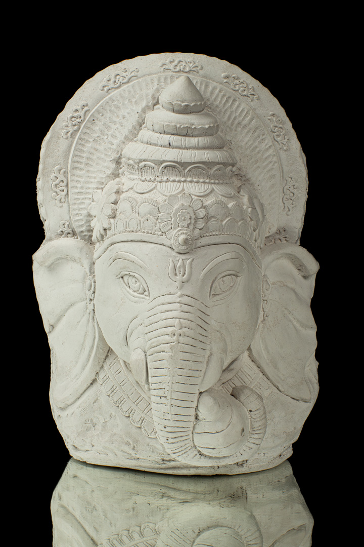 CARA DE ELEFANTE 2D