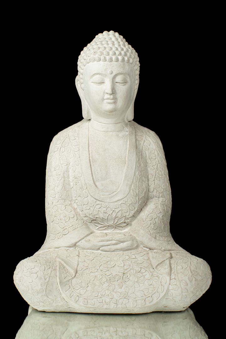 BUDAS MEDITANDO