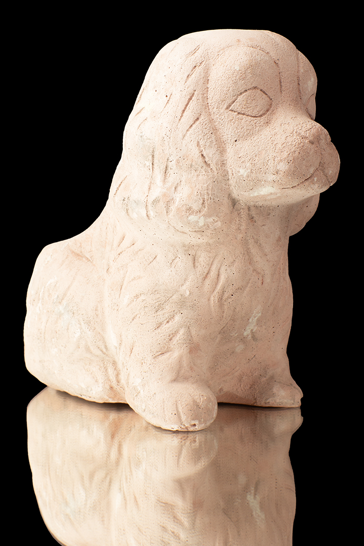 Perrito