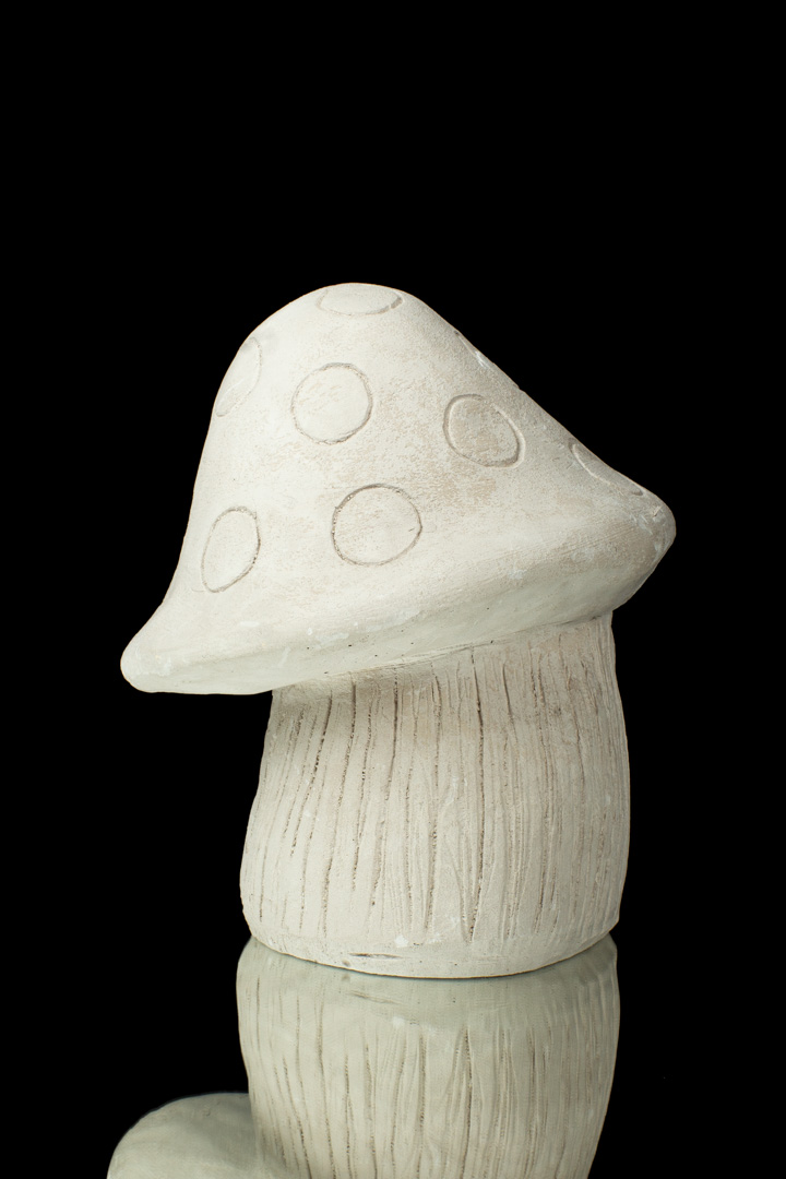 CHAMPIÑÓN