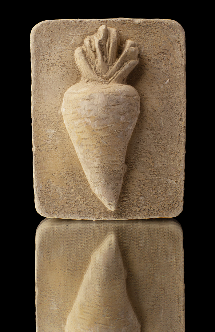 Cuadro de zanahoria