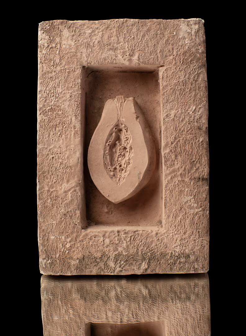 Cuadro de palta