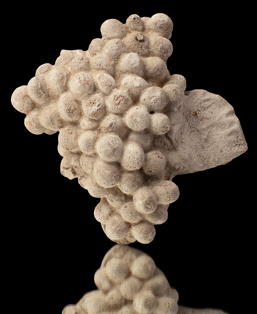 Racimo de uvas