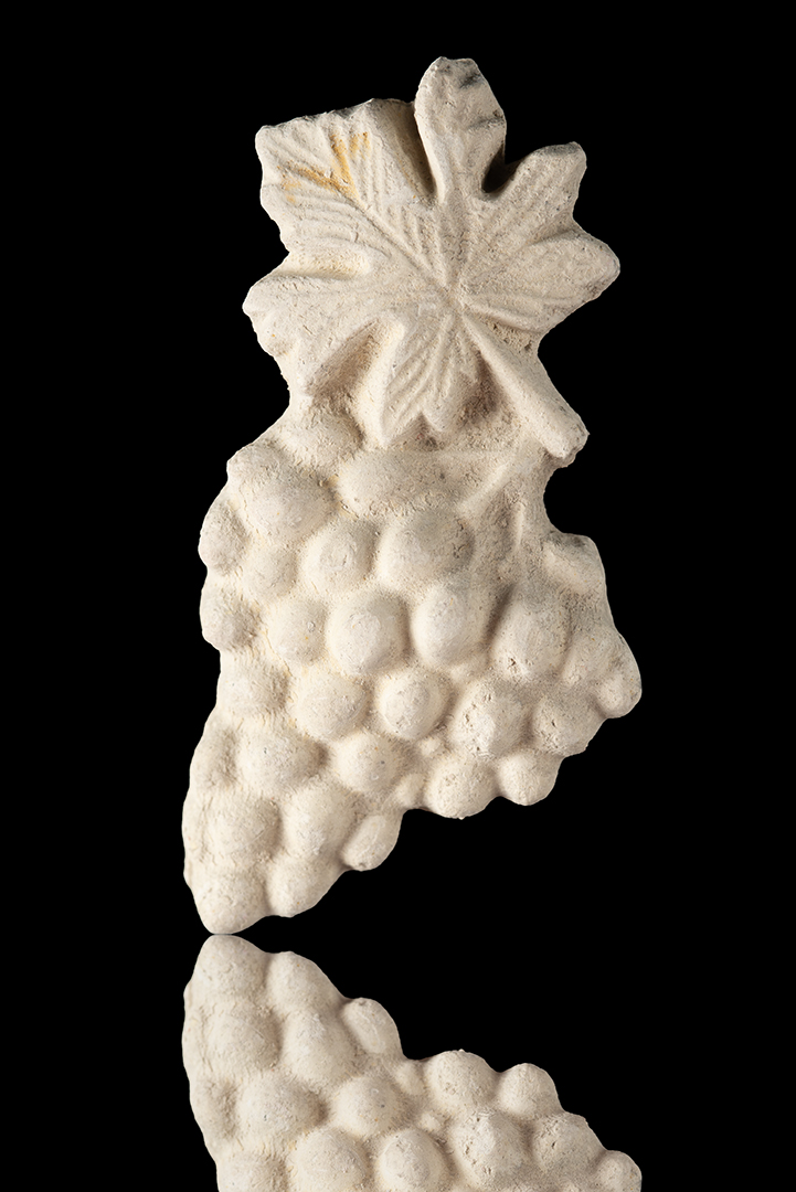 Racimo de uvas