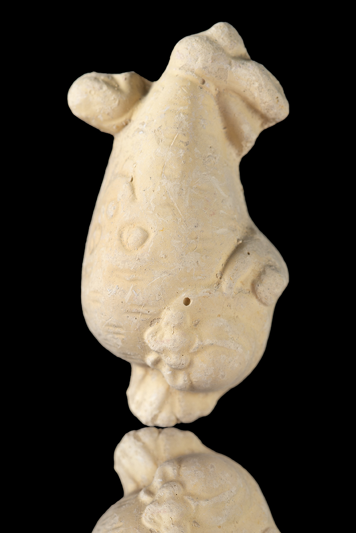 Fruta