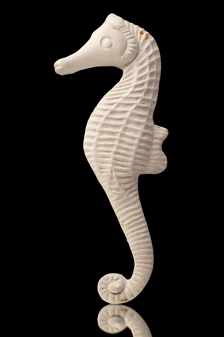 CABALLITO DE MAR