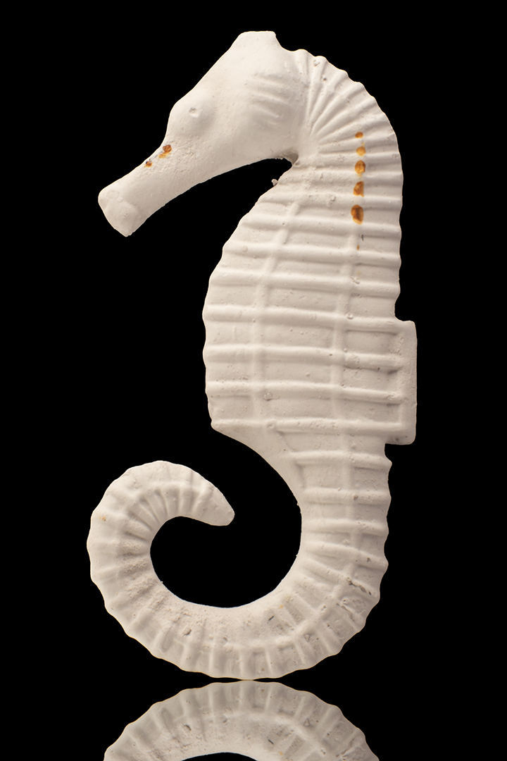 CABALLITO DE MAR