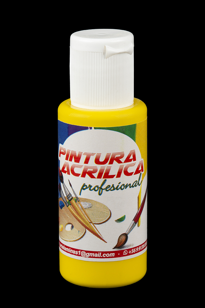 PINTURA ACRÍLICA 100g
