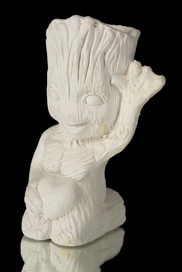 SUCULENTA GROOT